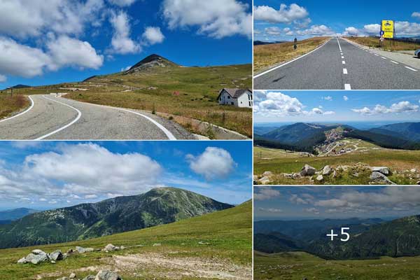 Die Transalpina | The "Kings Road"