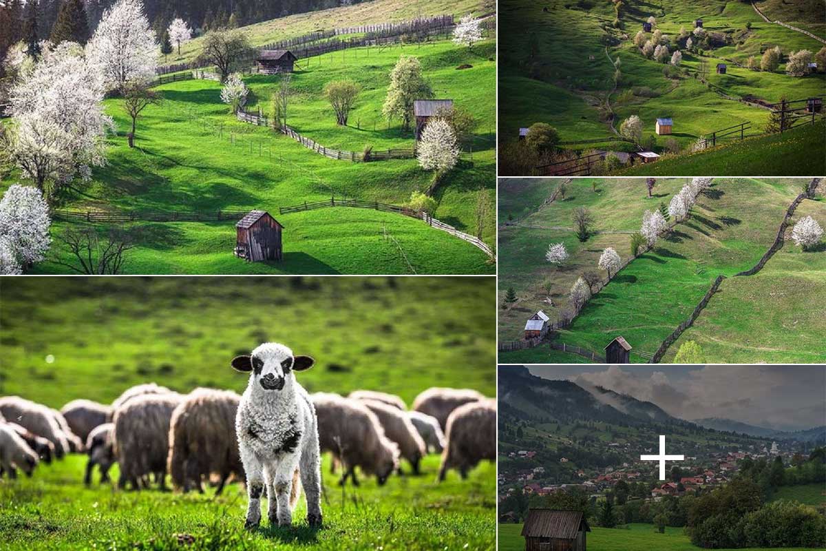 Bukowina | Bucovina im Frühling | Märchenhaft