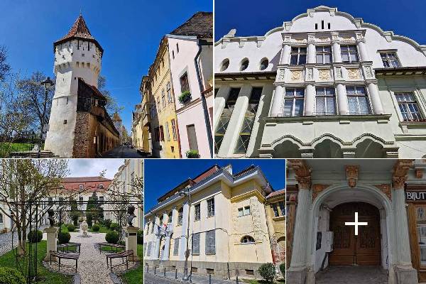 tw2488pd6jdyoz5mxqs9pjye0wwir0