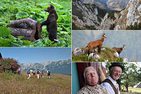 u1rvyv5oujph81fjsoxdxuofh2c9cn