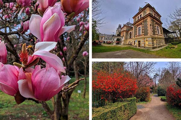 u5boccsgfrgq6s9znw9n6961i4a6oq