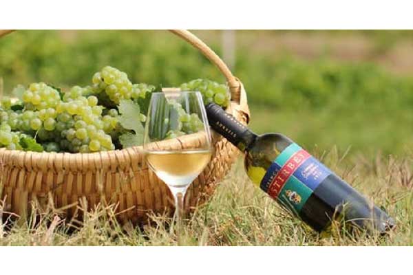 u7qpm7nf2z30yu6qisbtbm5lmie5yv