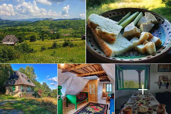 ut53k7yt7ba78dd5knxel3ju8toznc