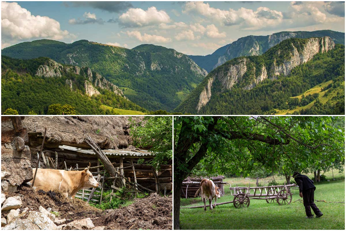 Viața rurală în munții Apuseni