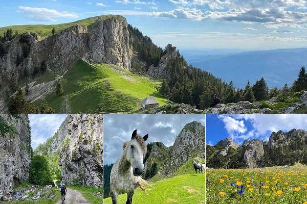 v4qruklj8bex38z2zud51w42d2d127