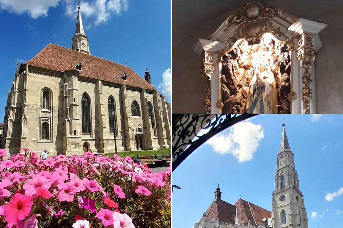 wc7x42tafzo2piz5991nl4cc1k5boj