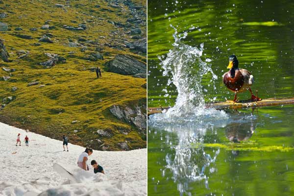 wsny5e3nfzfu4icbq4e43smvqqprhe