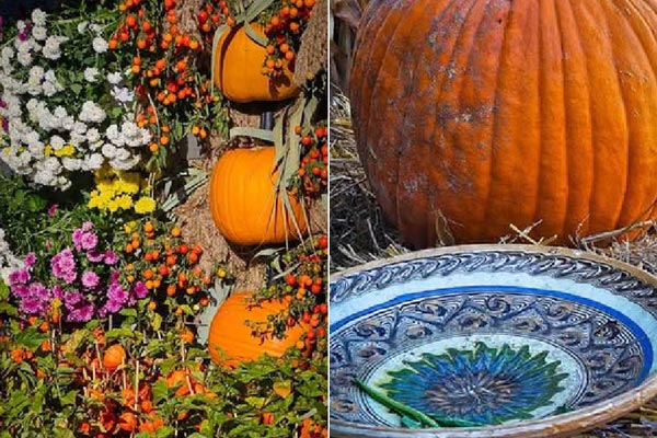 Herbst im Landkreis Valcea | Wunderschön