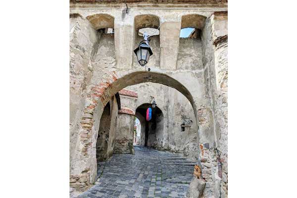 Sighisoara / Schässburg | Landkreis Mures