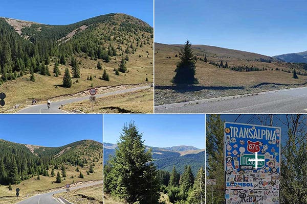 y4mbieakbealshw1vh7lies5tuds37