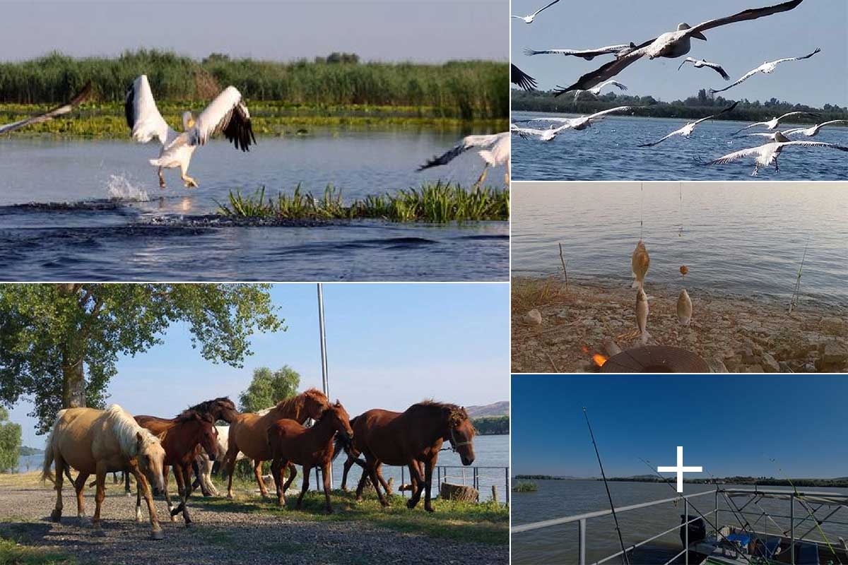 Donaudelta - immer eine Reise wert