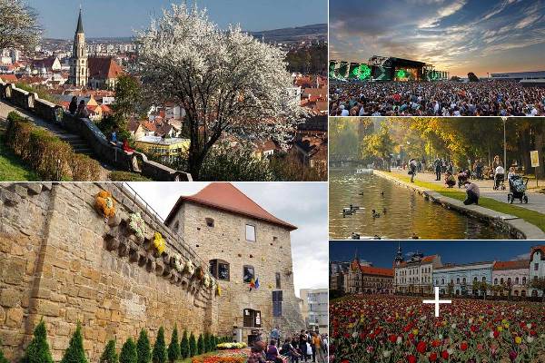 ygh8ti2f4yys04gfyslqyfurwiwtm6