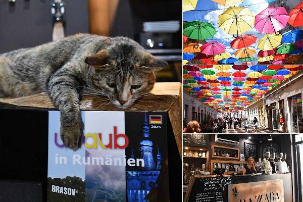 yxj4nyspe9fm6rq7eqpp7i9t5nglaj