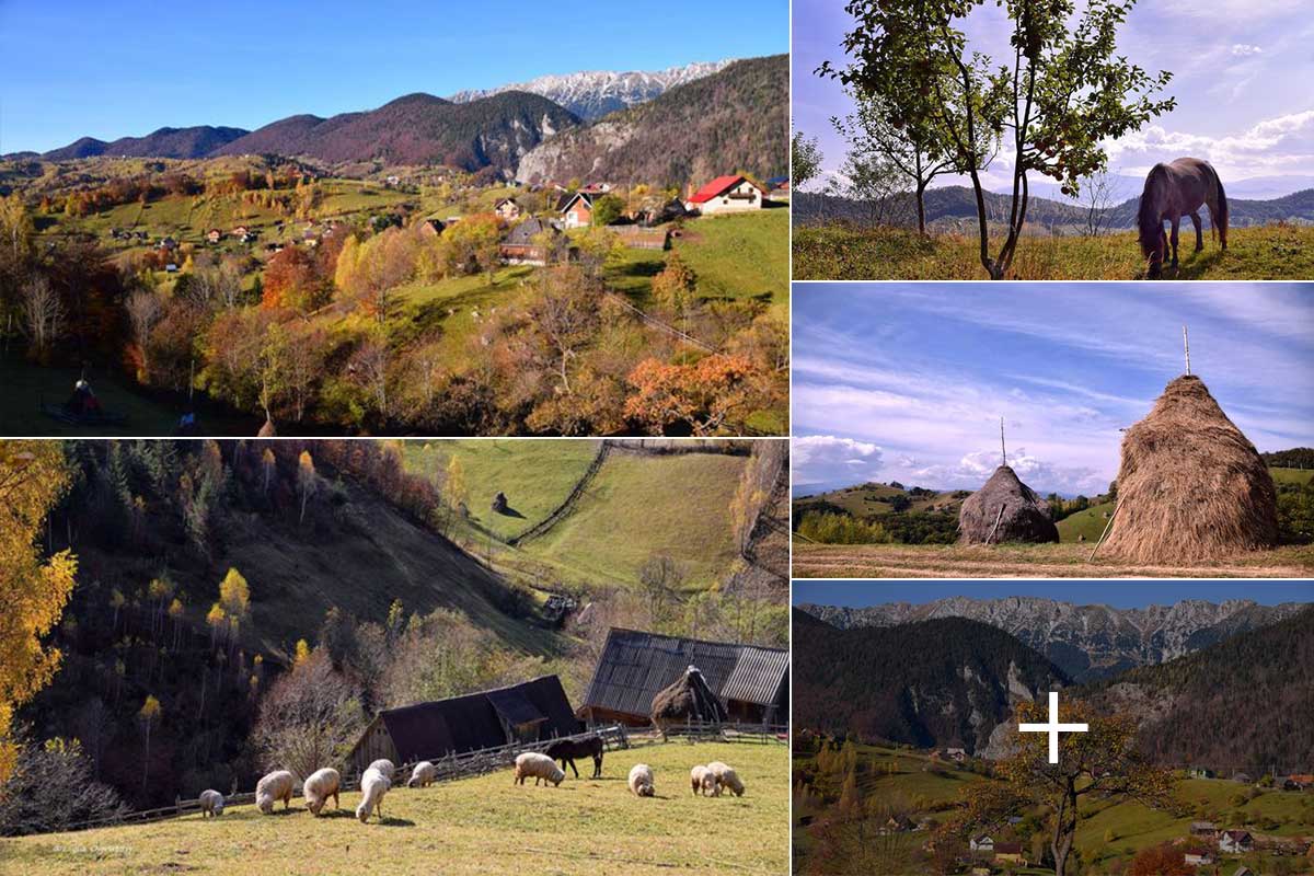 Herbststimmung im Landkreis Brașov