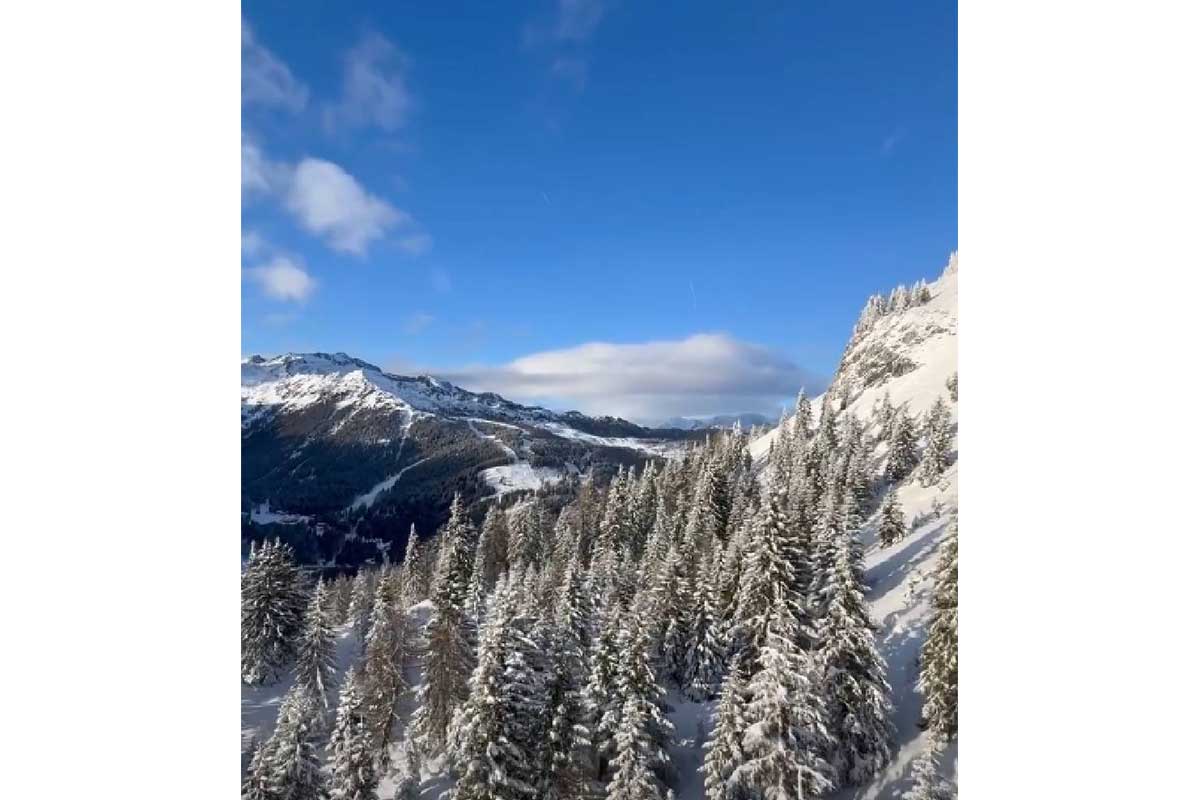 zm2bnbg0tjfxxu14imxnqyaissf3m0