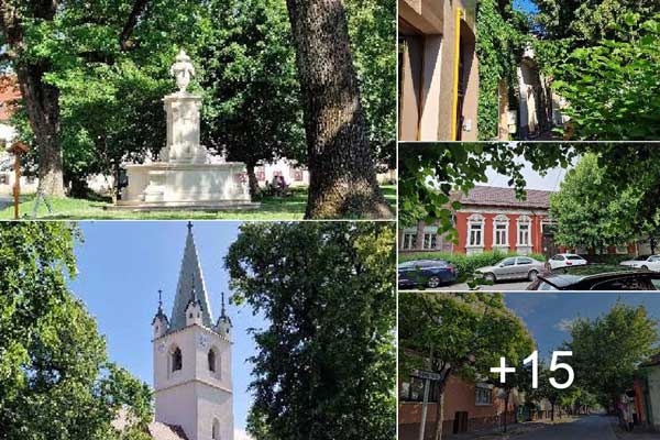 Targu Mures | The City of Trees