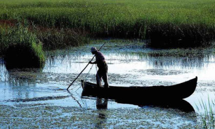 Excursie-Delta-Dunarii-si-Dobrogea-Senior-Voyage-3-420x252