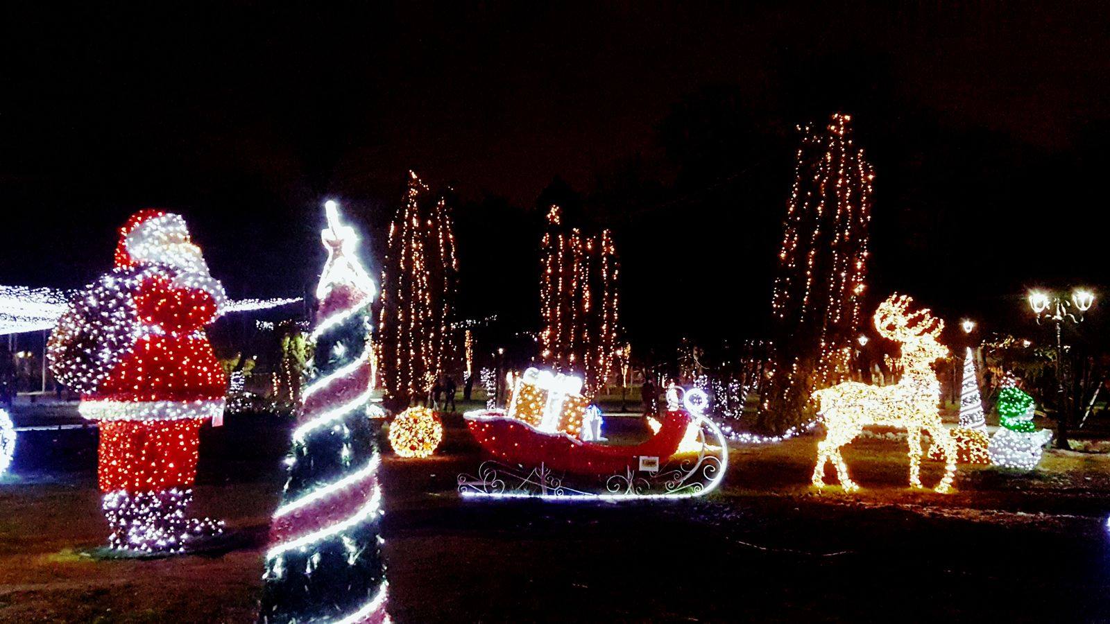 Christmas time / Sea of lights