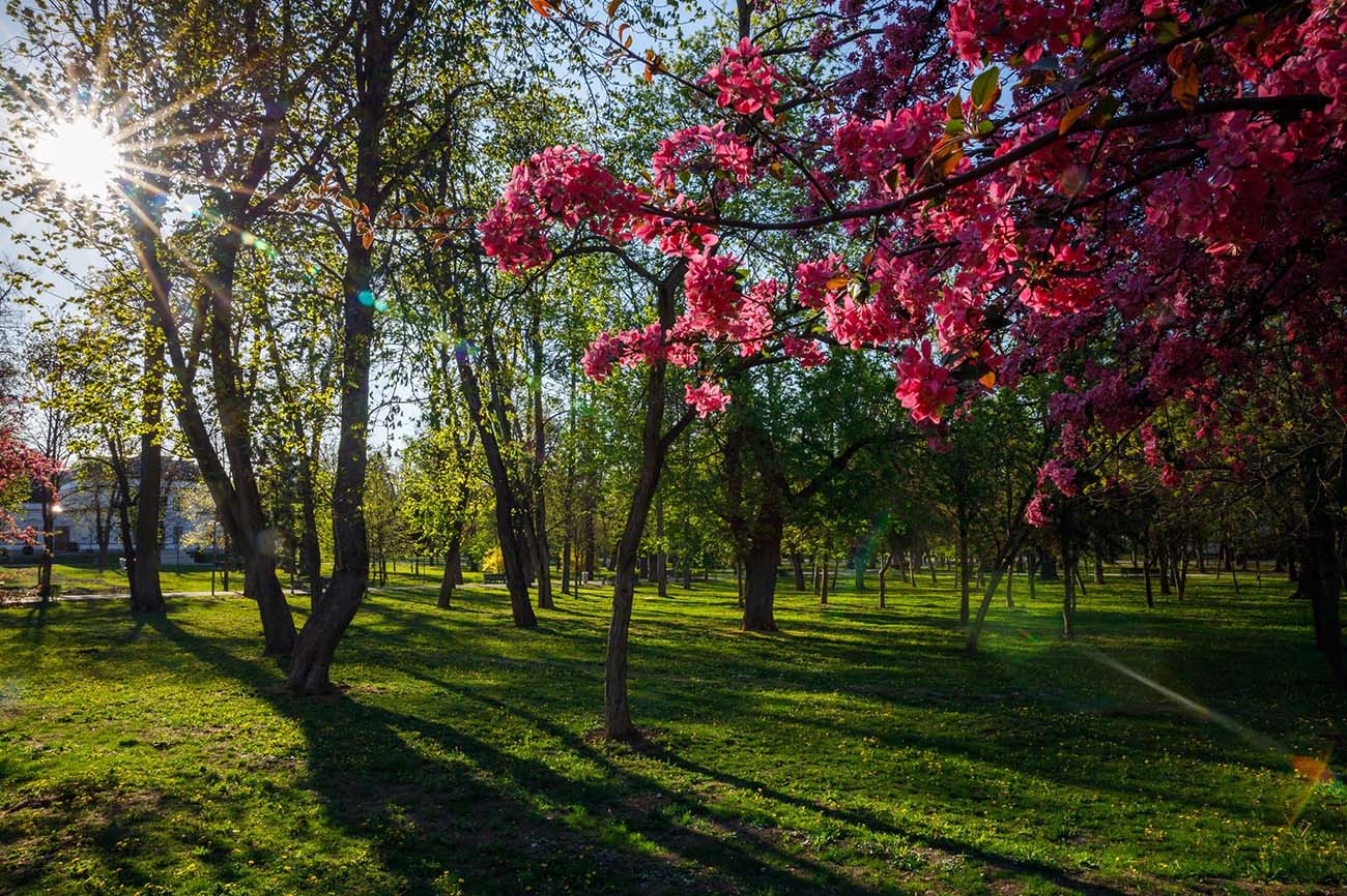 Cluj-Napoca Primăvara