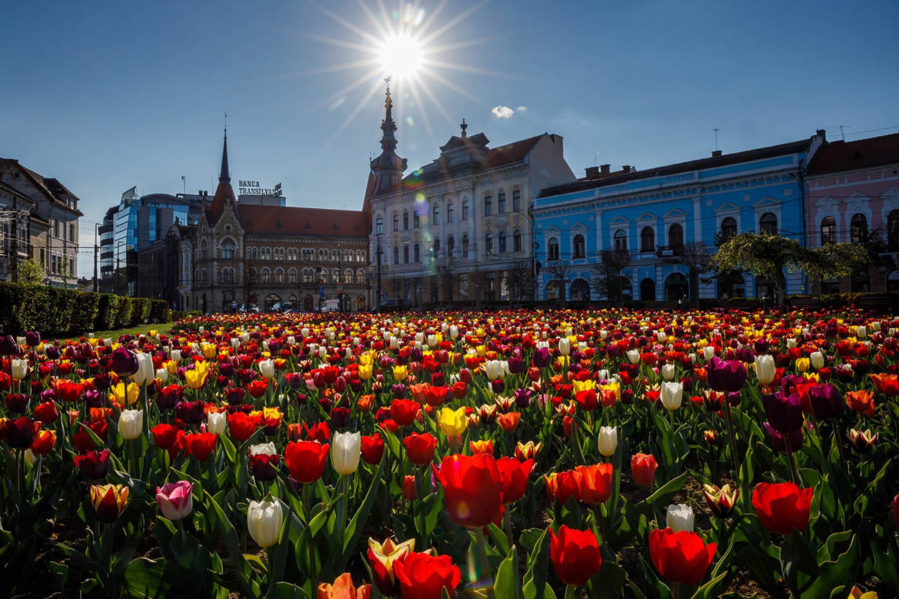 Cluj-Napoca in Spring