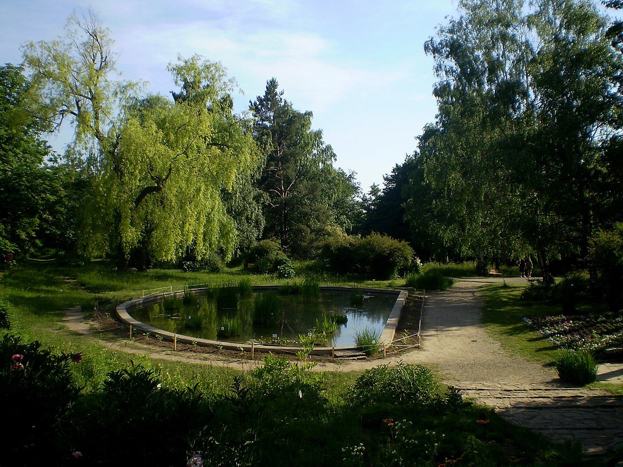 Botanischer Garten Iaşi