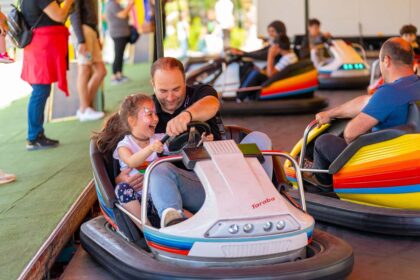 bumper-cars-1-420x280