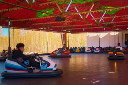 bumper-cars-2-420x280