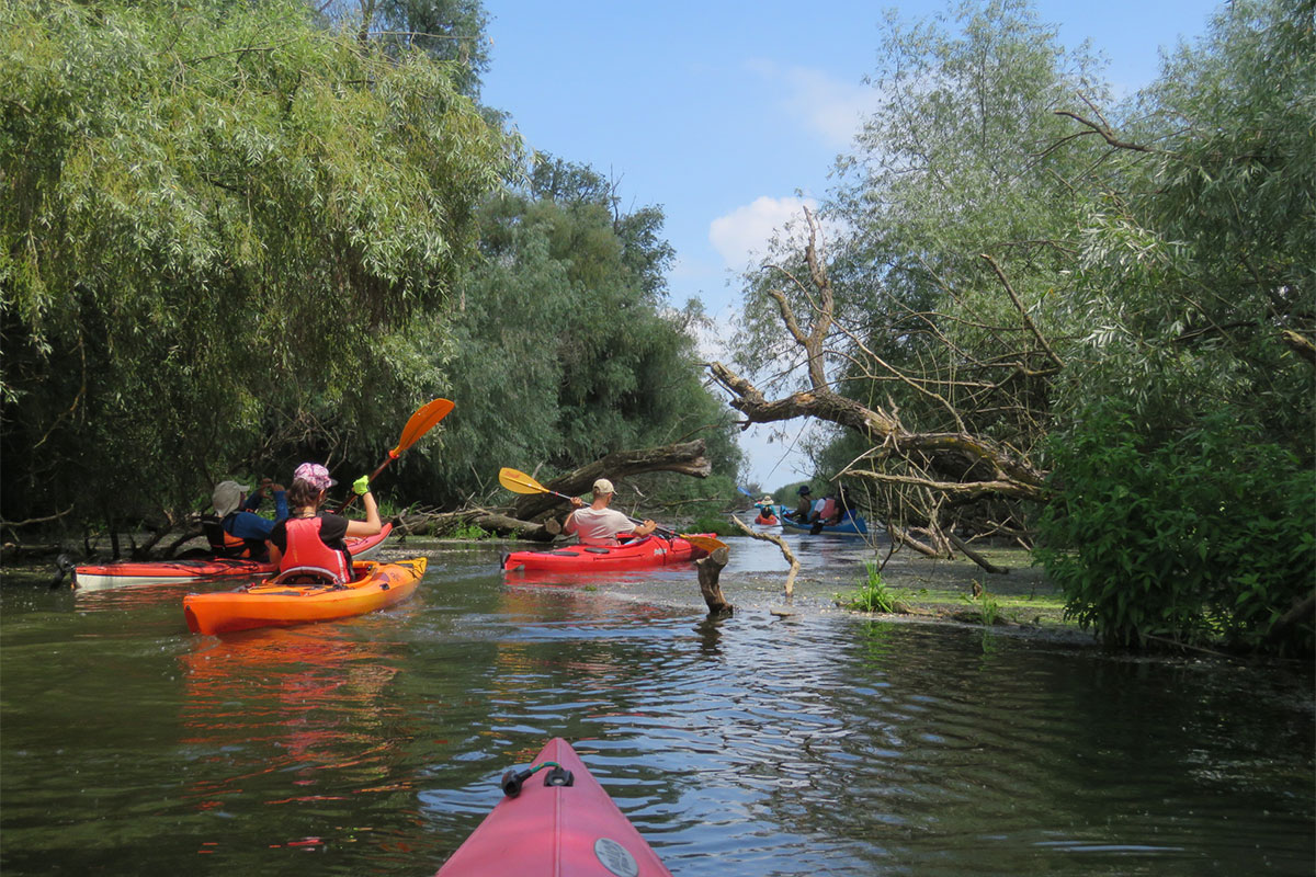 Kajak fahren im Donaudelta – ein Abenteuer für Naturliebhaber