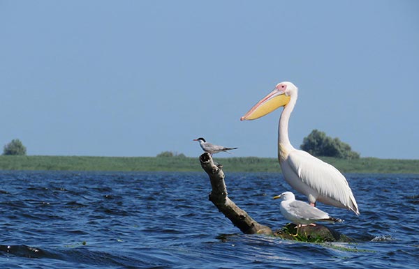 discover-sulina-home-2