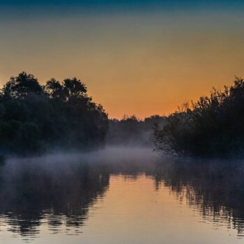 Donaudelta11-350x350