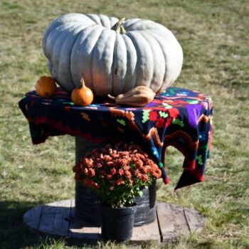 Kürbisfestival2-350x350