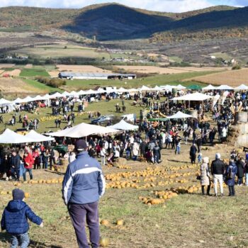 Kürbisfestival3-350x350