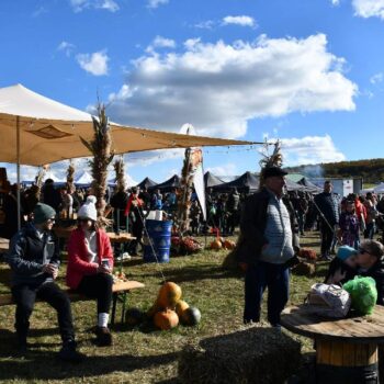 Kürbisfestival4-350x350