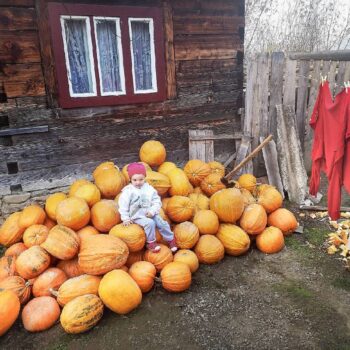 Maramures2-1-350x350