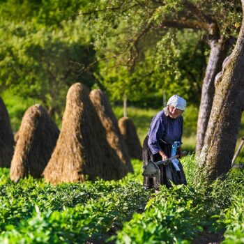 Maramures3-1-350x350