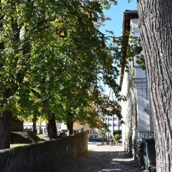 Miercurea_Ciuc10-350x350