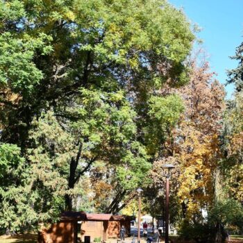 Miercurea_Ciuc6-350x350