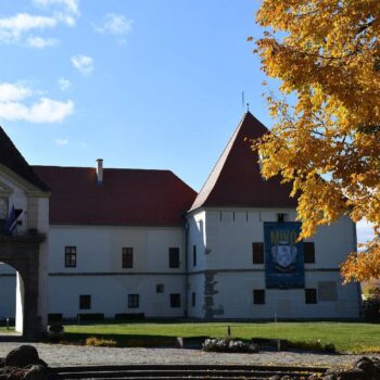 Miercurea_Ciuc8-350x350