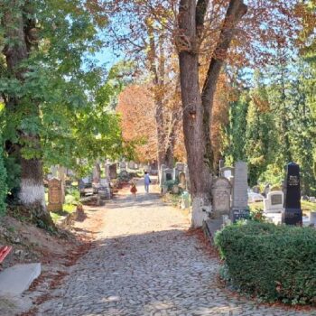 Sighisoara5-1-350x350