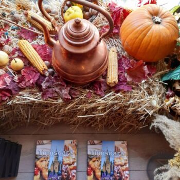 Timisoara1-2-350x350