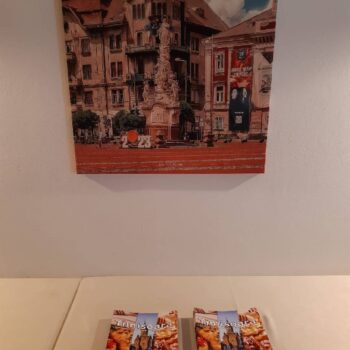 Timisoara4-2-350x350