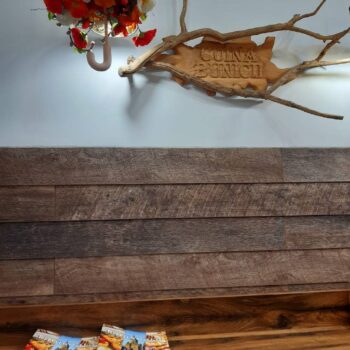 Timisoara5-2-350x350