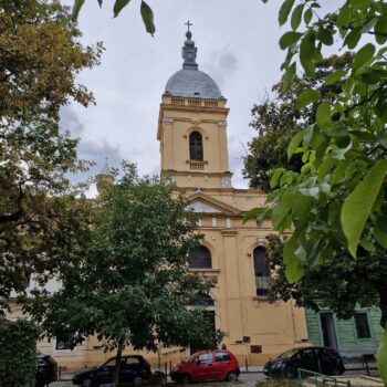 Timisoara7-1-350x350