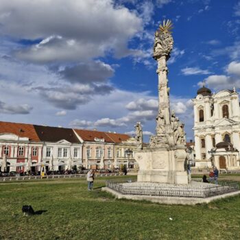 Timisoara9-1-350x350