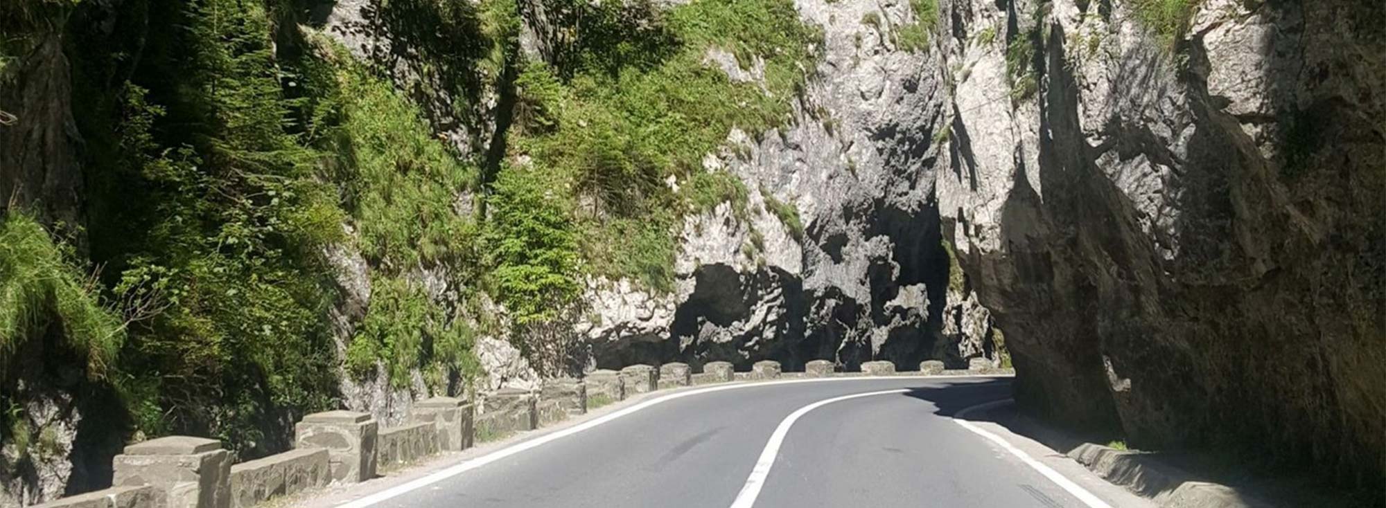 bicazului