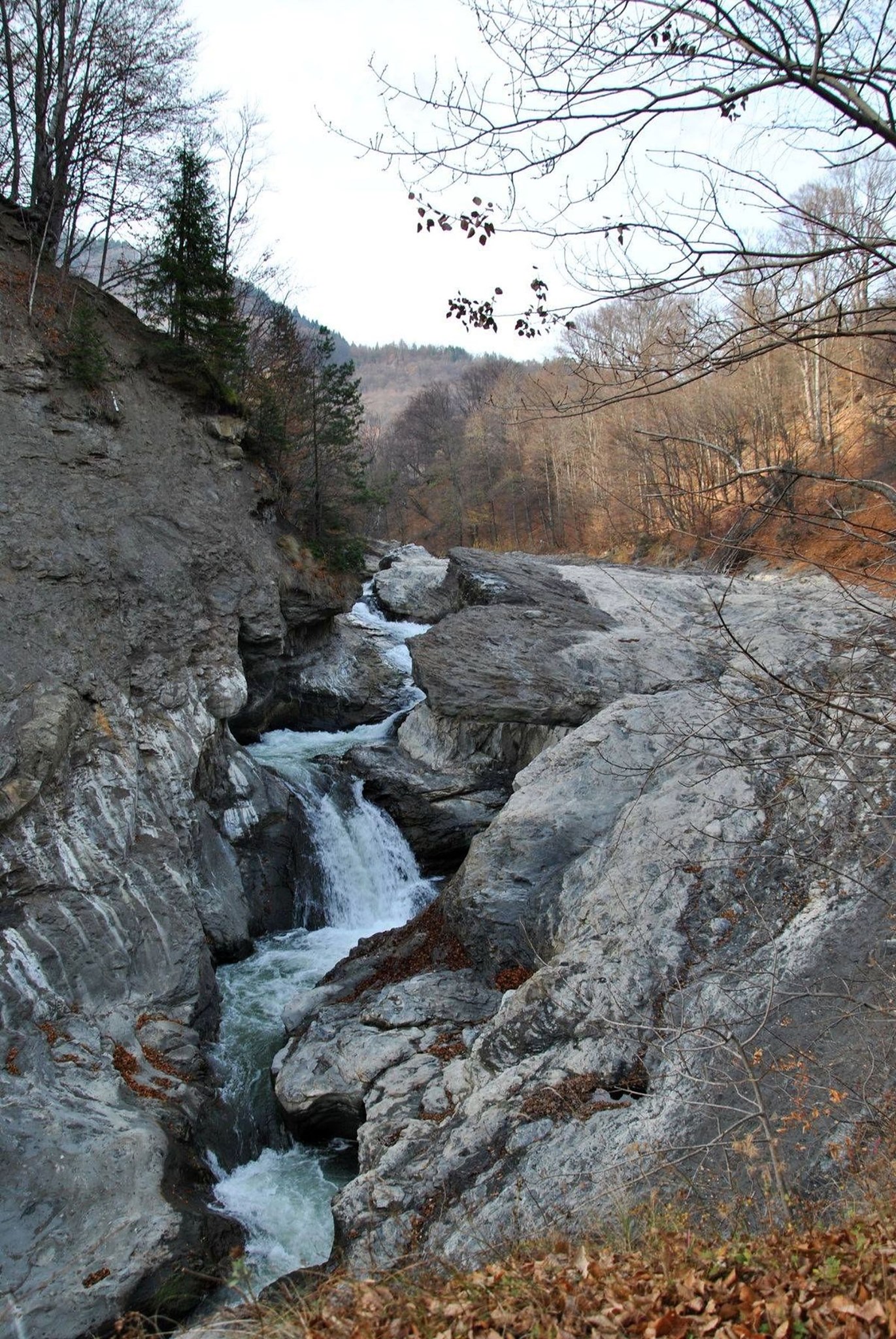 cascada_putnei