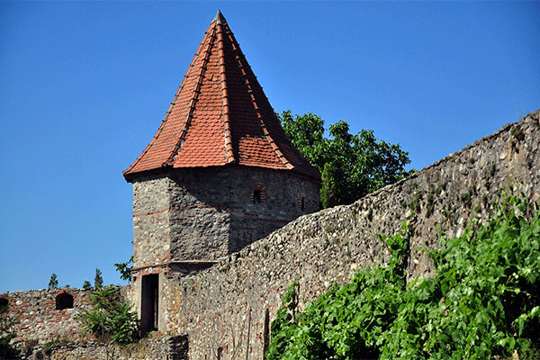 cetatea-mediavala-sebes