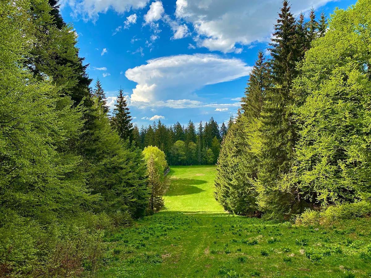 fruehling-poiana-brasov-4