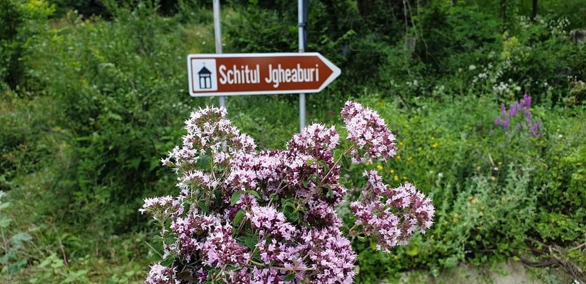 la_jgheaburi4