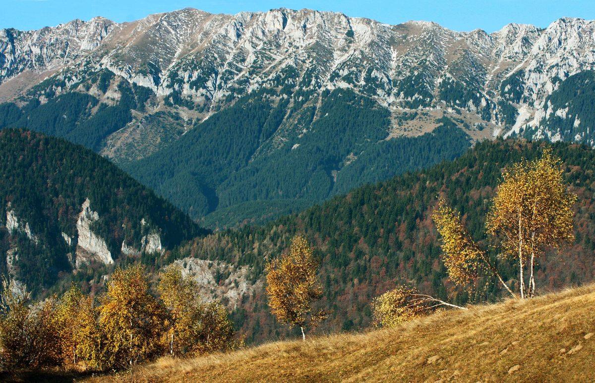 parcul_national_piatra_craiului10